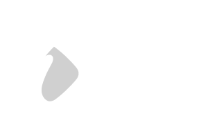 logo-msig