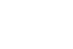 logo-daycovall