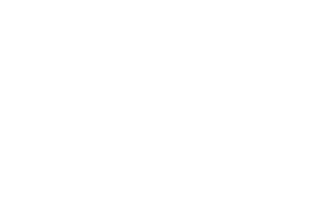 logo-newe