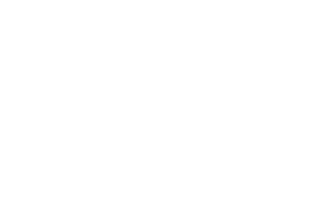 logo-exclelsior